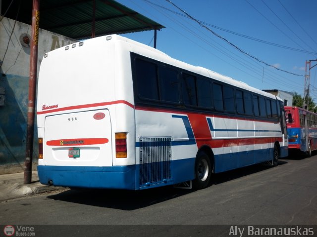 Particular o Desconocido 1003 por Aly Baranauskas