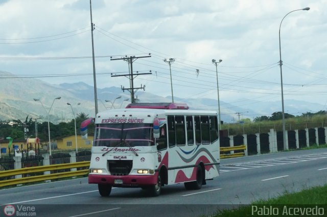 S.C.C. Expresos Sucre 074 por Pablo Acevedo