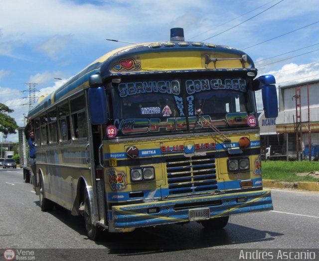 A.C. Boquer�n Express 02 por Andr�s Ascanio