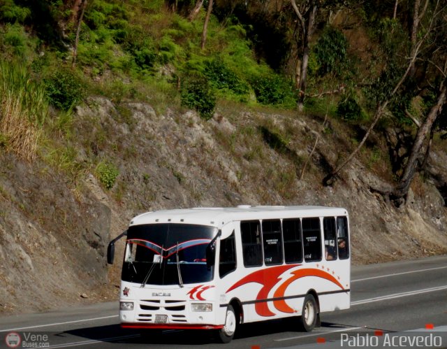 A.C. Indepasib 077 por Pablo Acevedo