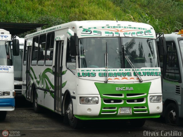 Organizaci�n Guaicamacuto 194 por Oliver Castillo