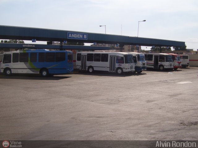 Garajes Paradas y Terminales Maracay por Alvin Rond�n