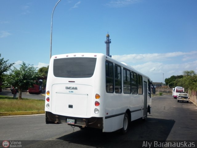 Particular o Desconocido 09 por Aly Baranauskas