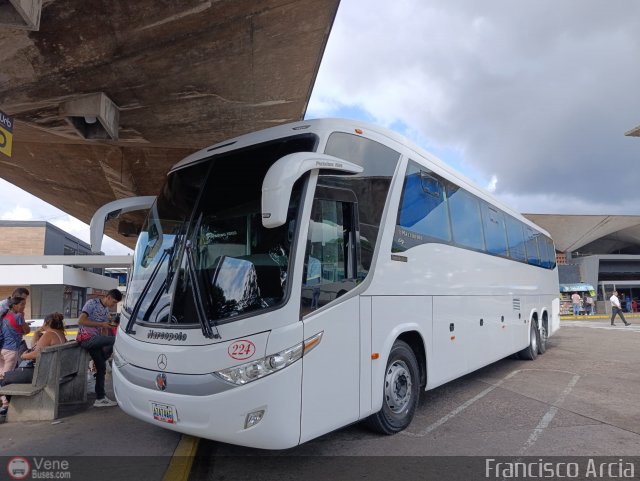 Los Pájaros de Lara 224 por Francisco Arcia