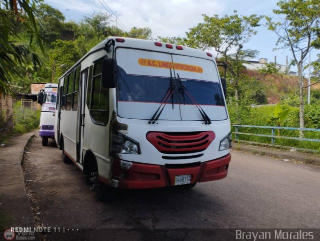 TA - A.C. Lnea Intercomunal 37 por Jerson Nova