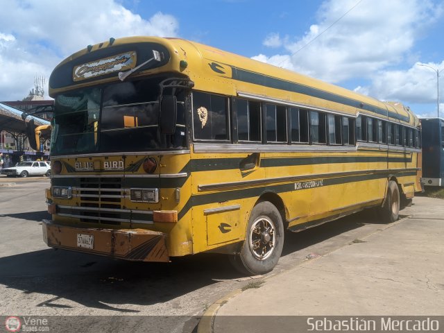 ZU - Colectivos Concepci�n 038 por Sebasti�n Mercado