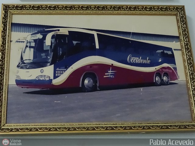 Expresos Occidente 035 por Pablo Acevedo