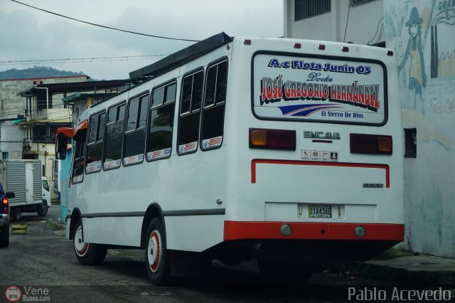 A.C. Flota Jun�n 05 por Pablo Acevedo