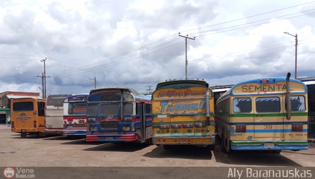 Garajes Paradas y Terminales Valencia por Aly Baranauskas