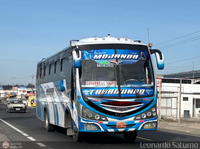 Particular o Desconocido 09 por Leonardo Saturno