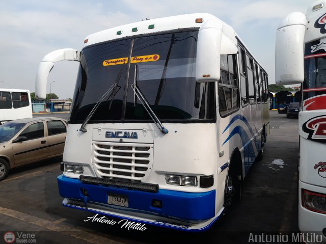 A.C. Transporte Paez 082 por Antonio Mittilo