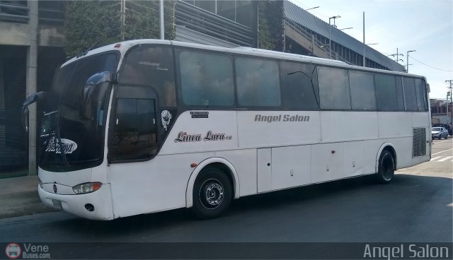 Lnea Lara 003 por ngel Saln
