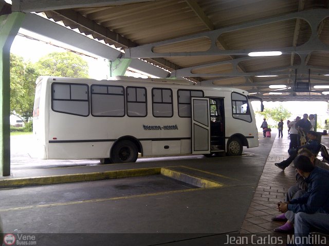 A.C. Mixta de Transporte T�chira M�rida R.L. 0017 por Jean Carlos Montilla