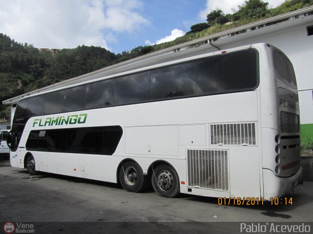 Expresos Flamingo 0017 por Pablo Acevedo