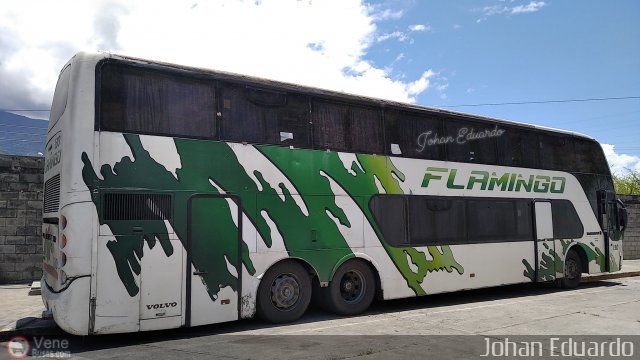 Expresos Flamingo 0130 por Johan Albornoz