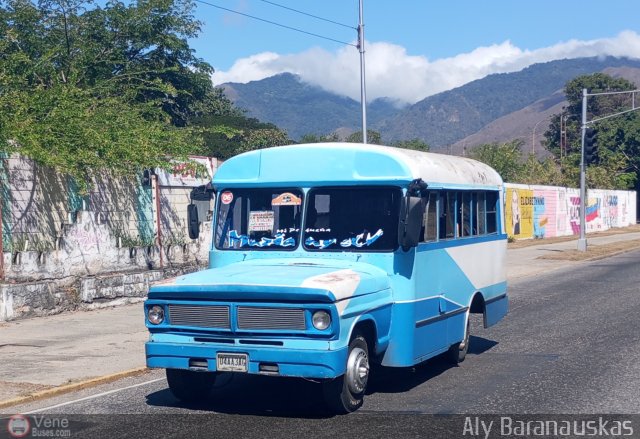 CA - Transporte de Pasajeros Los Mangos II 06 por Aly Baranauskas