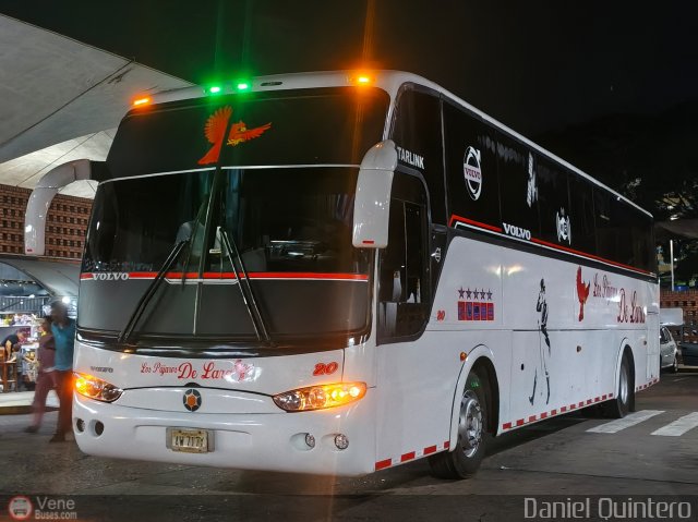 Los P�jaros de Lara 020 por Marcos David M�rquez