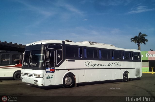 Expresos Del Sur 2012 por Rafael Pino