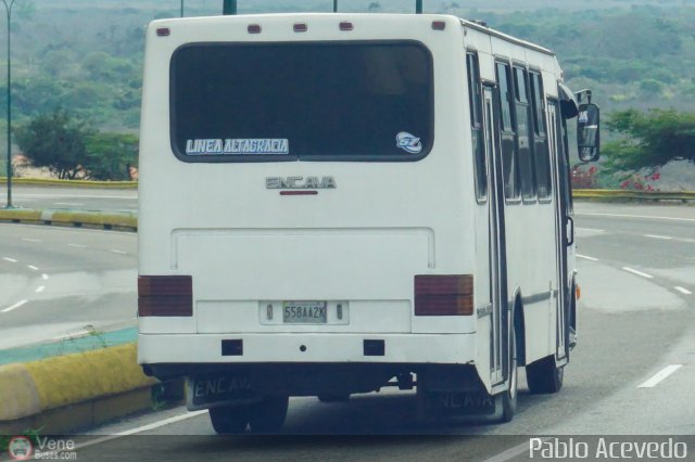 L�nea Altagracia 57 por Pablo Acevedo