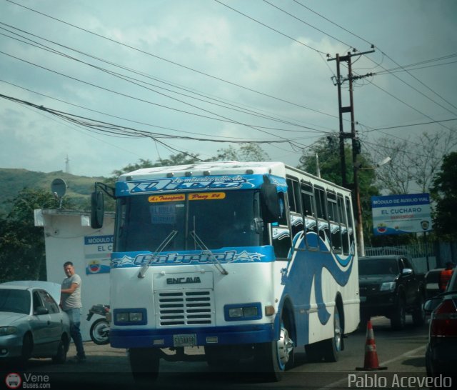 A.C. Transporte Paez 084 por Pablo Acevedo