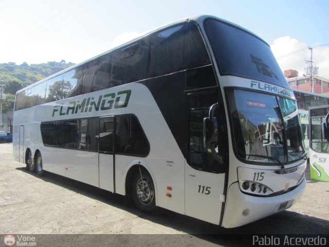 Expresos Flamingo 0115 por Pablo Acevedo