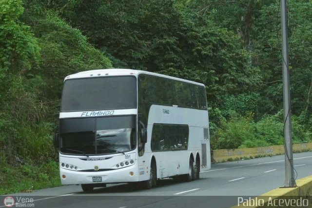 Expresos Flamingo 0091 por Pablo Acevedo