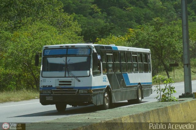A.C. de Transporte Encarnaci�n 311 por Pablo Acevedo