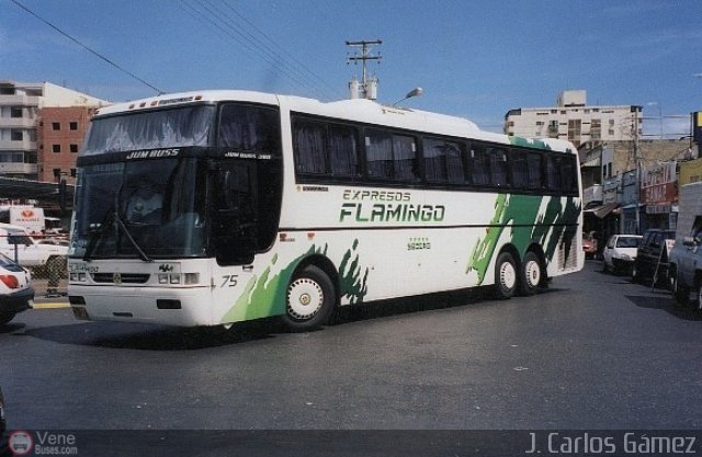 Expresos Flamingo 75 por J. Carlos G�mez