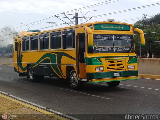 ZU - Colectivos Concepci�n 045 por Abner Sarcos