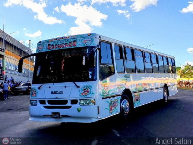 Transporte El Esfuerzo 34 por �ngel Sal�n