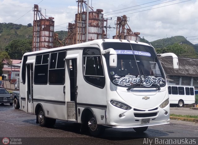 TA - L�nea Concordia 21 por Aly Baranauskas