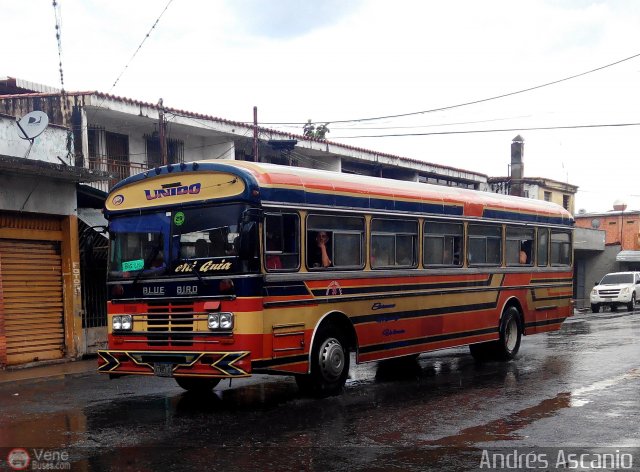 A.C. de Transporte Santa Ana 29 por Andr�s Ascanio