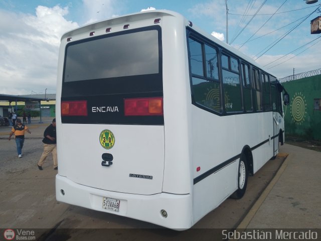 A.C. de Transporte Larense 30 por Sebasti�n Mercado