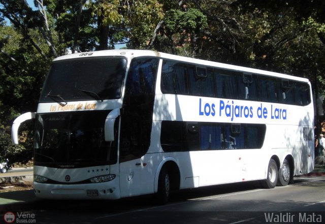 Los P�jaros de Lara 007 por Waldir Mata