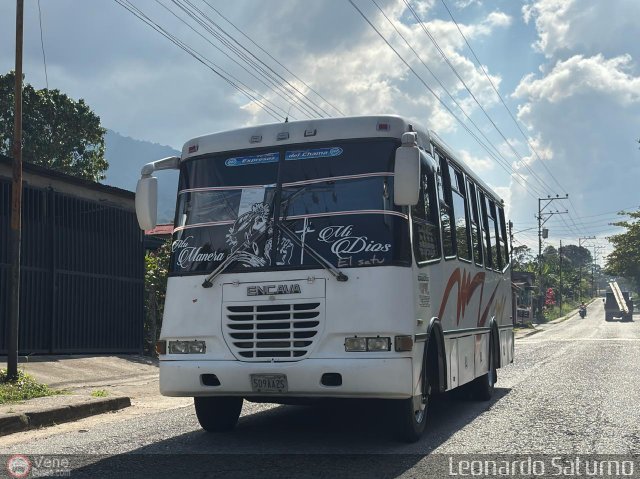 S.C. L�nea Transporte Expresos Del Chama 087 por Leonardo Saturno