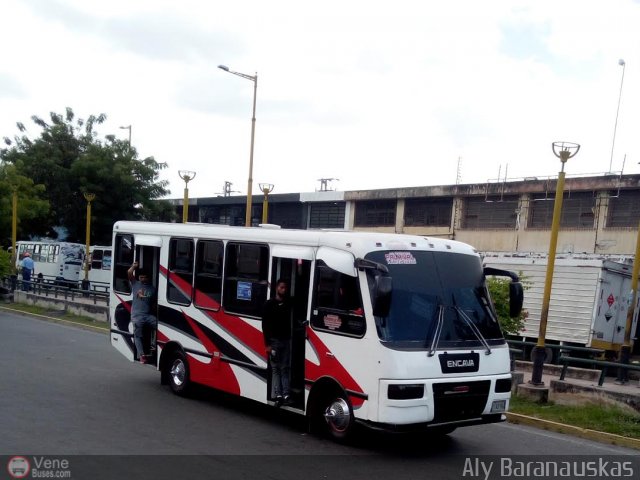 CA - Asociacin de Transporte Palmival 19 por Aly Baranauskas