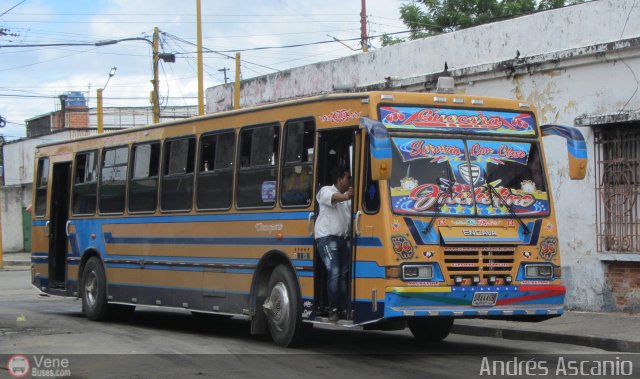 Transporte Guacara 0036 por Andr�s Ascanio