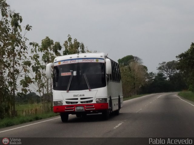 A.C. Pedraza 033 por Pablo Acevedo