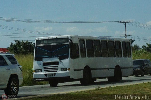 Particular o Desconocido 13 por Pablo Acevedo