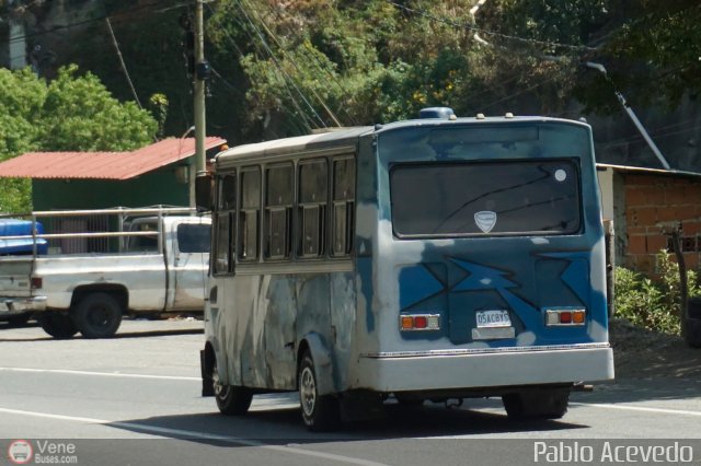 DC - Tigres de Plan de Manzano 043 por Pablo Acevedo