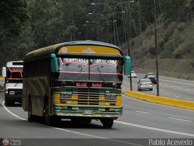 CA - Unipal Las Palmitas Asociaci�n Civil 045 por Pablo Acevedo