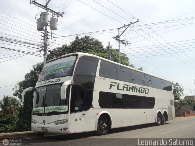 Expresos Flamingo 0116 por Leonardo Saturno