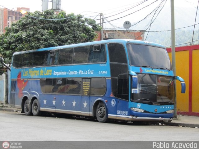 Los P�jaros de Lara 004 por Pablo Acevedo