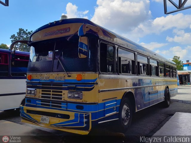 Expresos J�uregui 043 por Kleyzer Calder�n