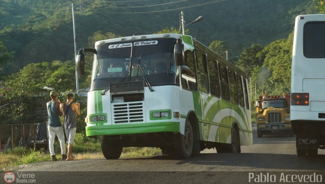 L�nea El Pi�al A.C. 44 por Pablo Acevedo