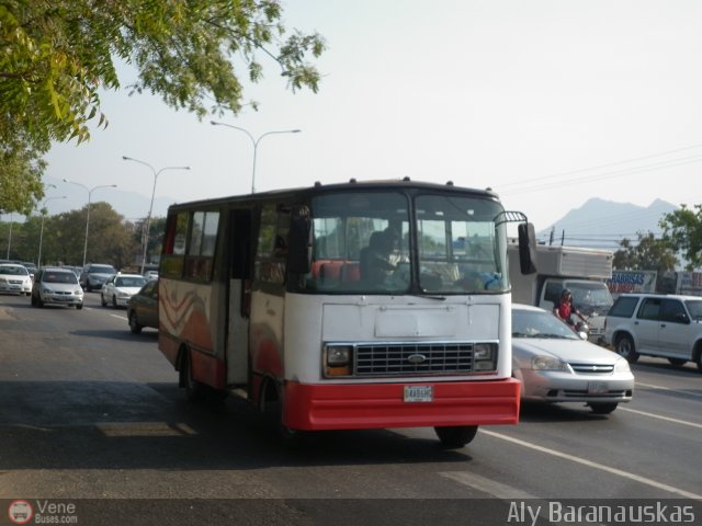 Particular o Desconocido 04 por Aly Baranauskas