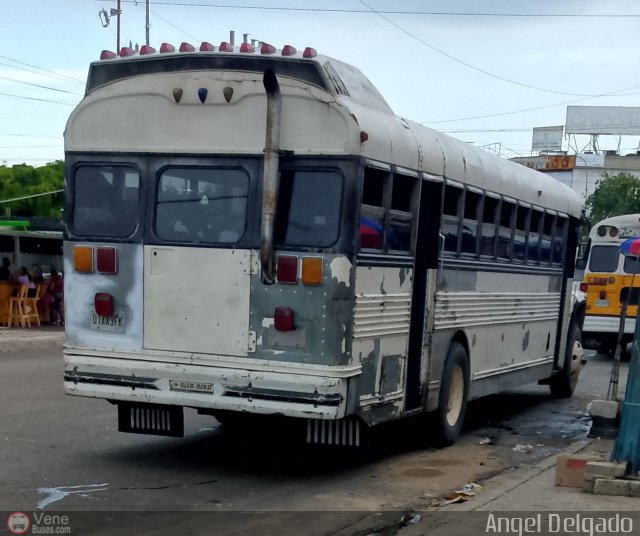 ZU - Ra�l Leoni 05 por �ngel Delgado