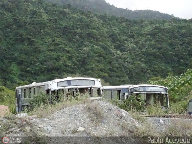 En Chiveras Abandonados Recuperaci�n PA-03 por Pablo Acevedo