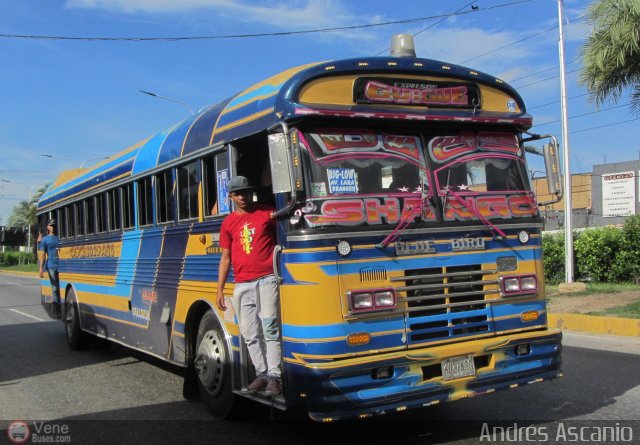 Expresos Gige 08 por Andrs Ascanio