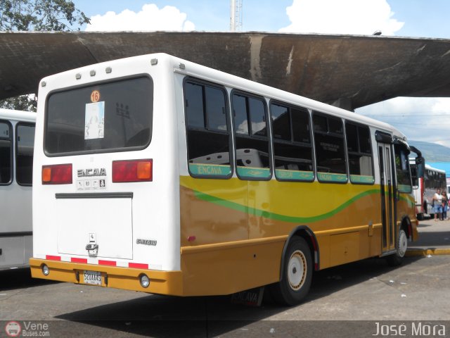 A.C. L�nea Col�n 16 por Jos� Mora